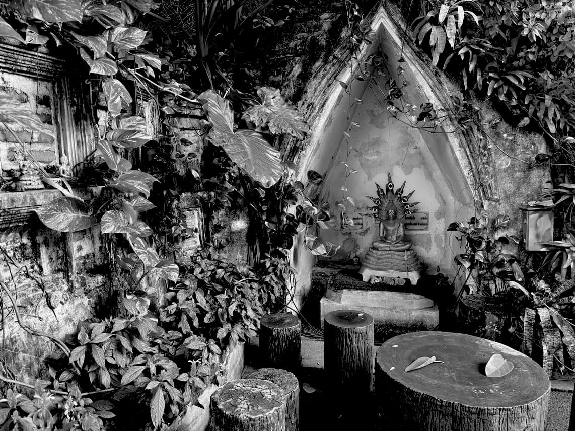 Black and white photo of a small Buddha shrine nestled in a wall alcove, surrounded by dense foliage and wooden stools.